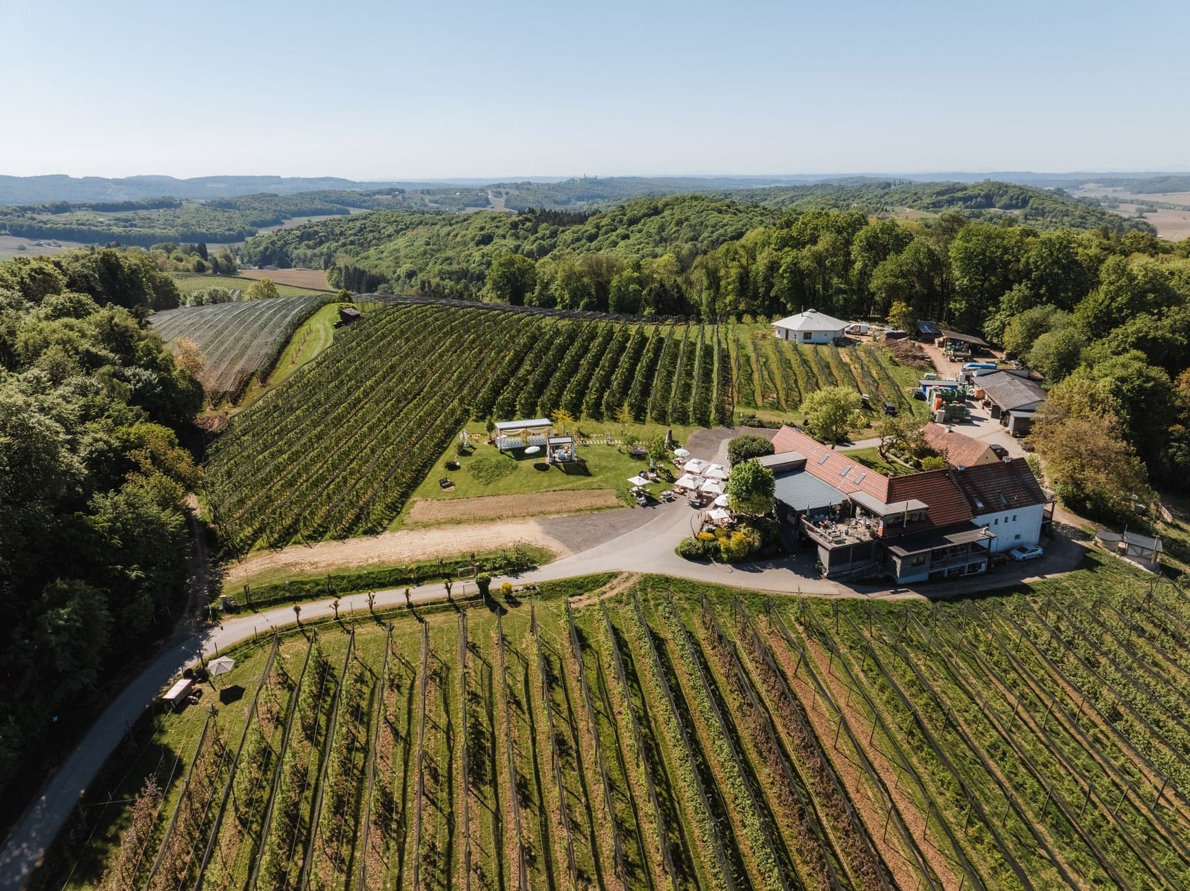 Luftaufnahme des Hofbergs von Obstbau Haas — Hofladen, Obstgärten und Weinreihen im Steirischen Vulkanland