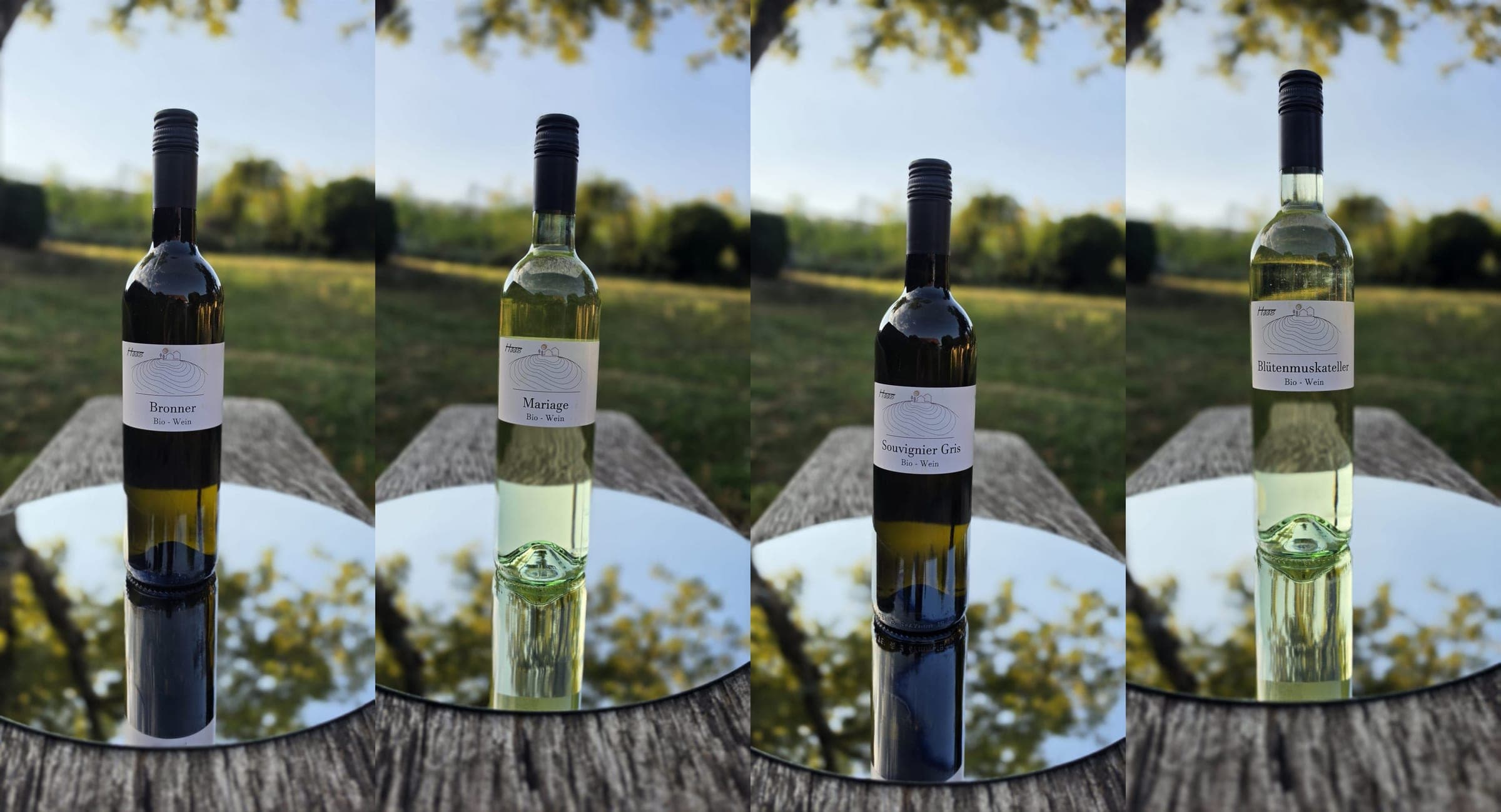 Sortenreine Bio-Weine